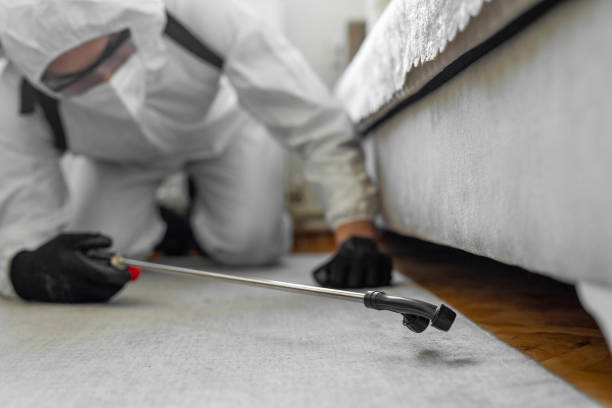 Professional Termite Control technician working in Mountain View, AR