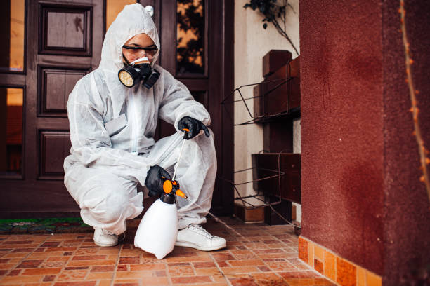 Reliable Termite Control contractor in Mountain View, AR by Nex Pest Control
