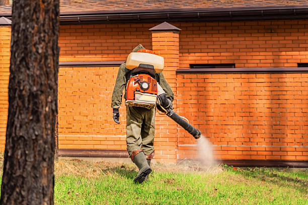 Top rated local Termite Control specialists in Mountain View, AR